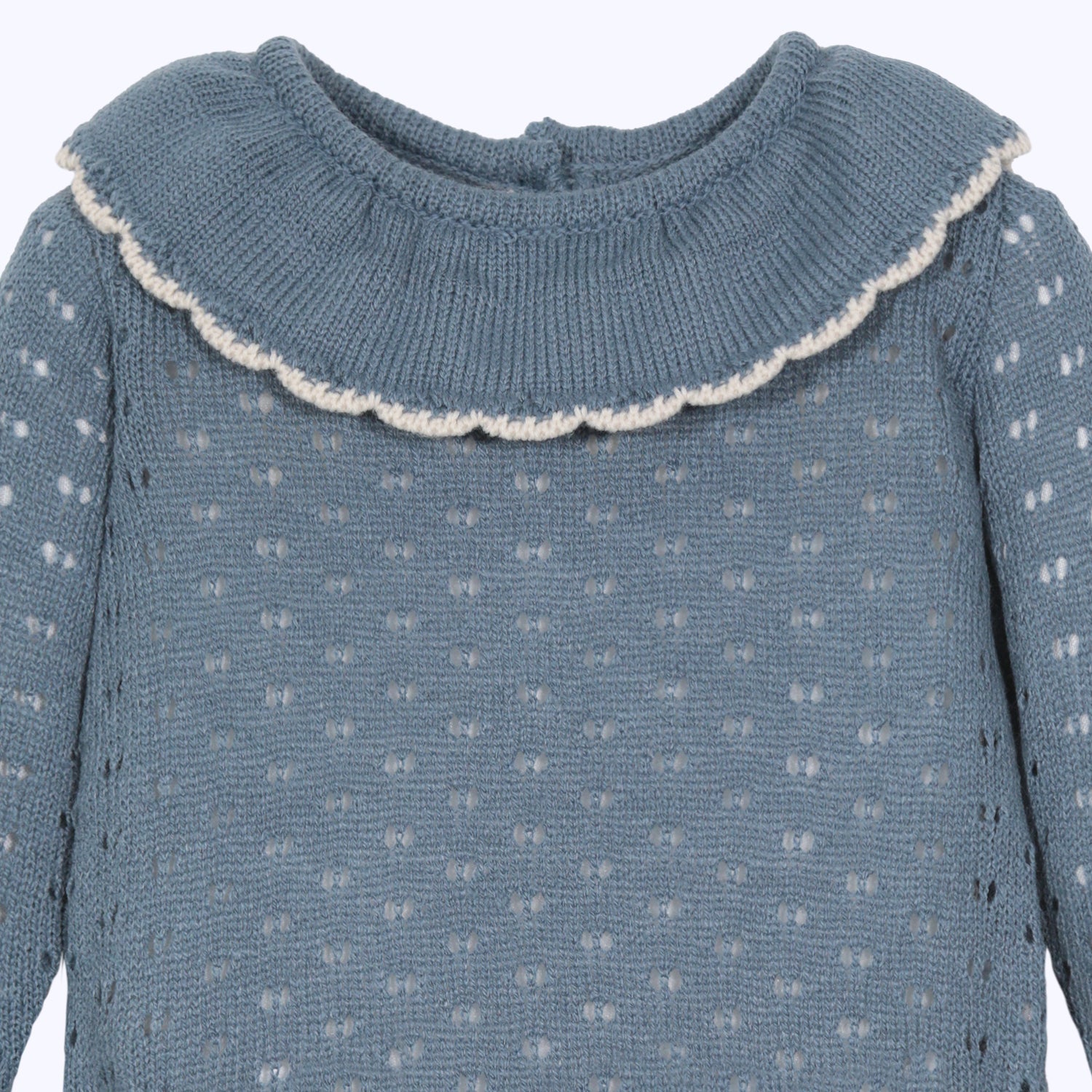 Ranita Calada celeste