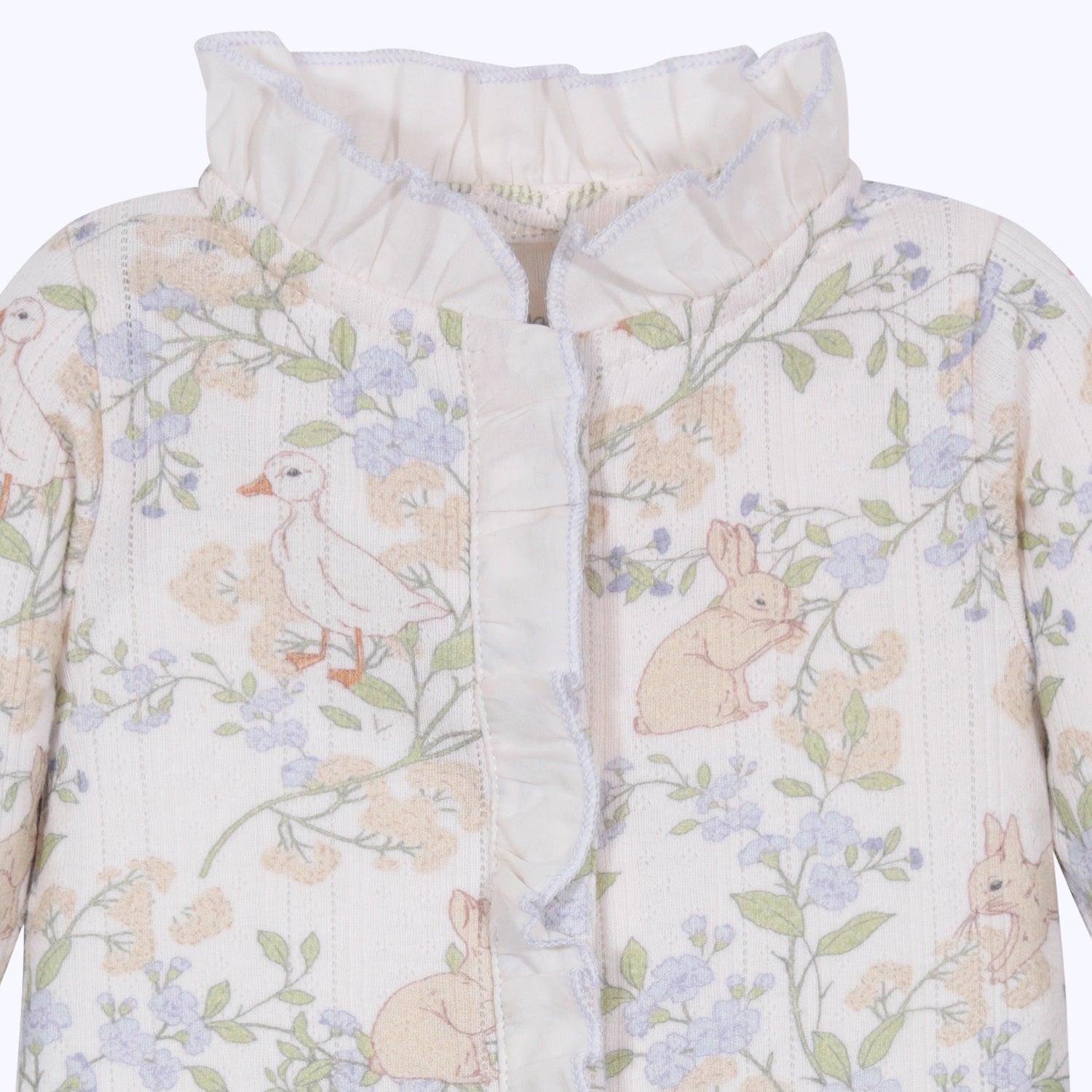 Enterito Maria Aurora