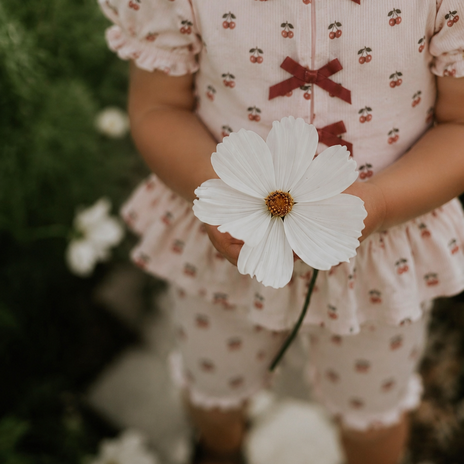 Set cotton print